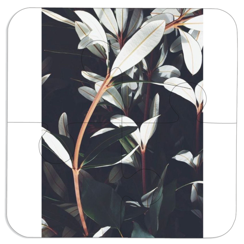 Магнитные фотопазлы 100 на 100 