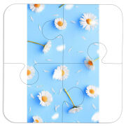 Магнитные фотопазлы 100 на 100 