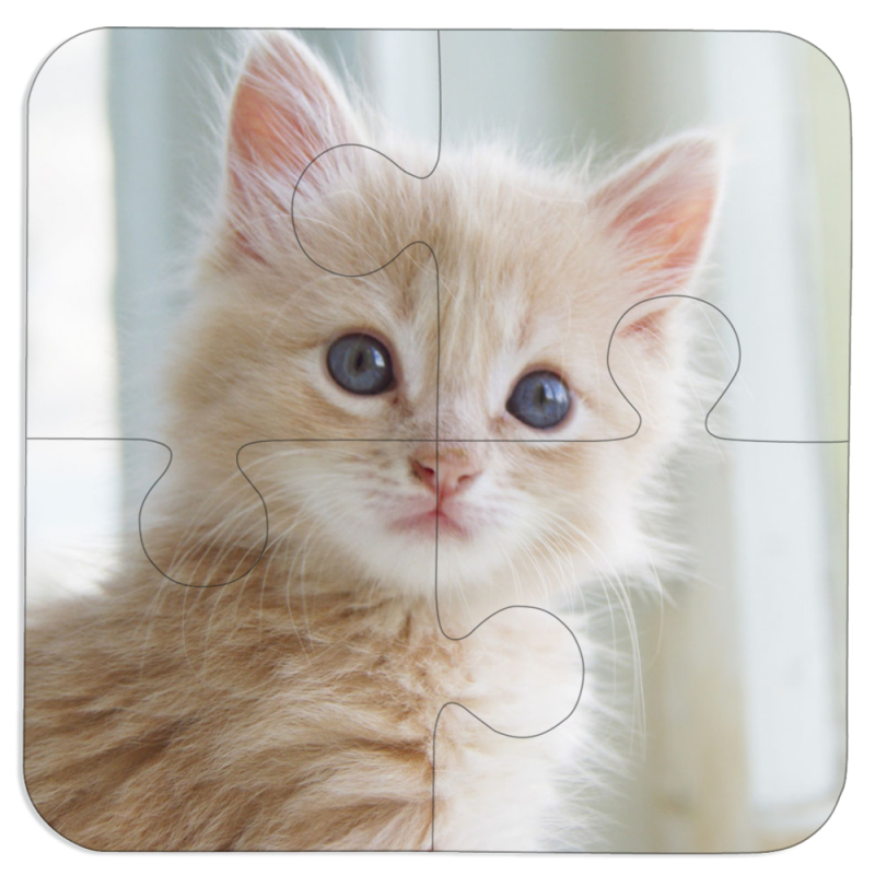 Магнитные фотопазлы 100 на 100 Animation Kittens