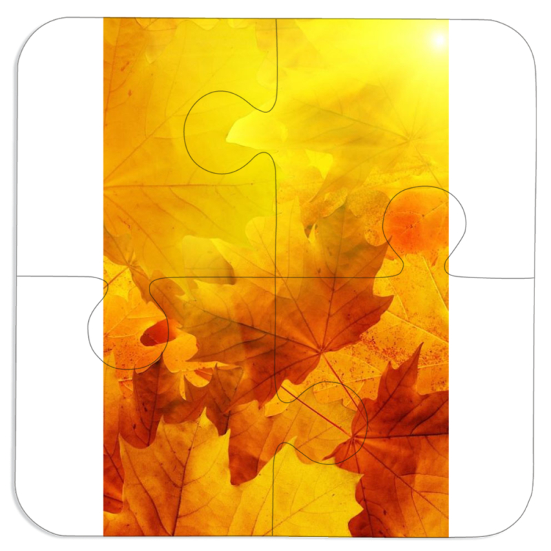 Магнитные фотопазлы 100 на 100 