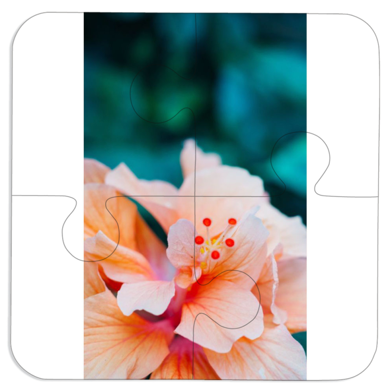 Магнитные фотопазлы 100 на 100 