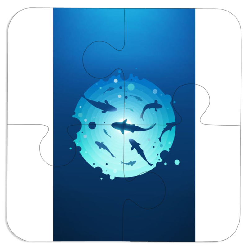 Магнитные фотопазлы 100 на 100 