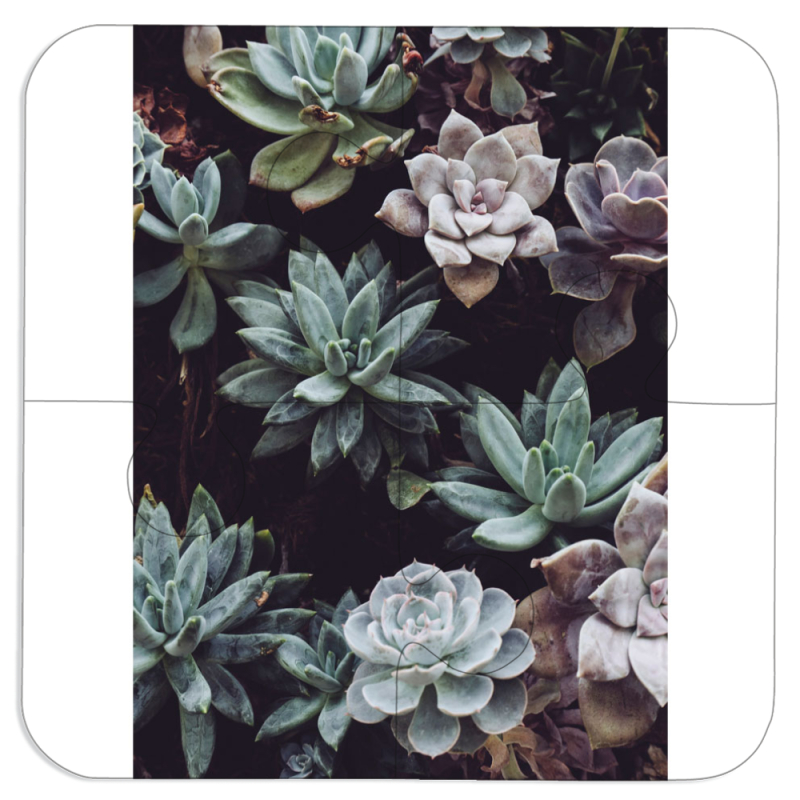 Магнитные фотопазлы 100 на 100 