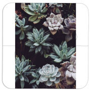 Магнитные фотопазлы 100 на 100 