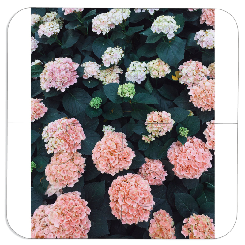 Магнитные фотопазлы 100 на 100 