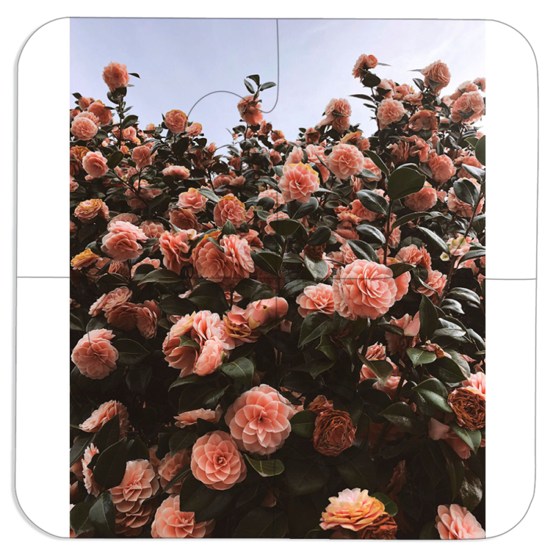 Магнитные фотопазлы 100 на 100 