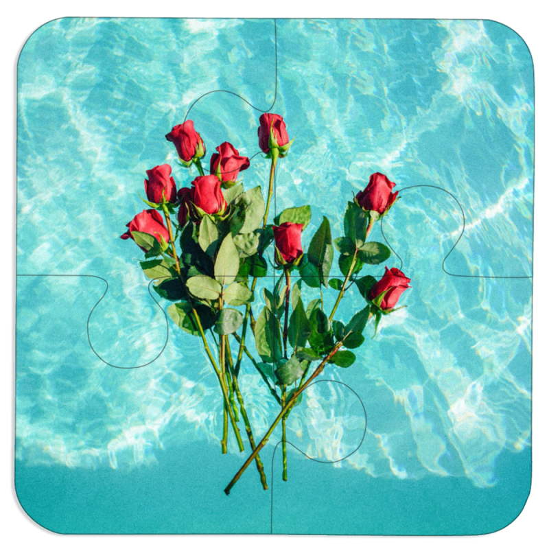 Магнитные фотопазлы 100 на 100 