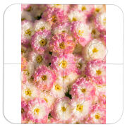 Магнитные фотопазлы 100 на 100 