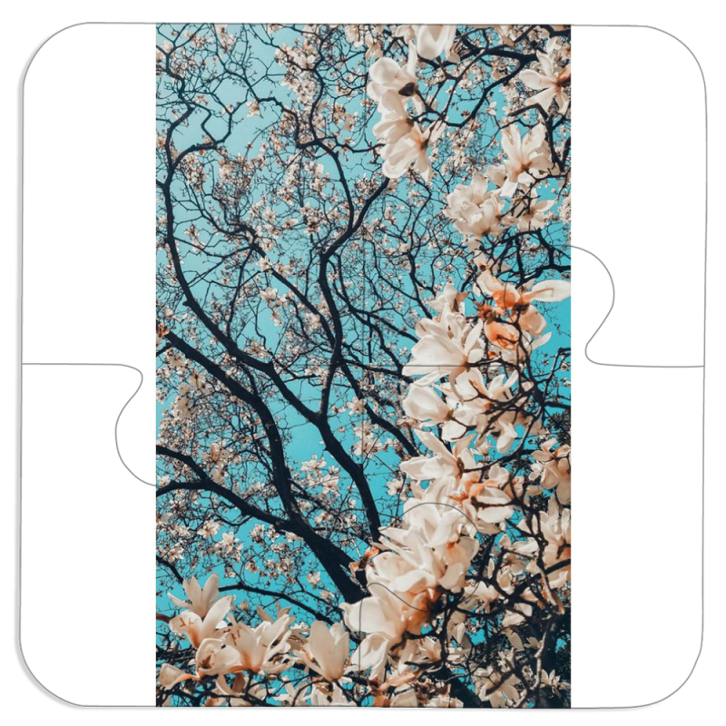 Магнитные фотопазлы 100 на 100 