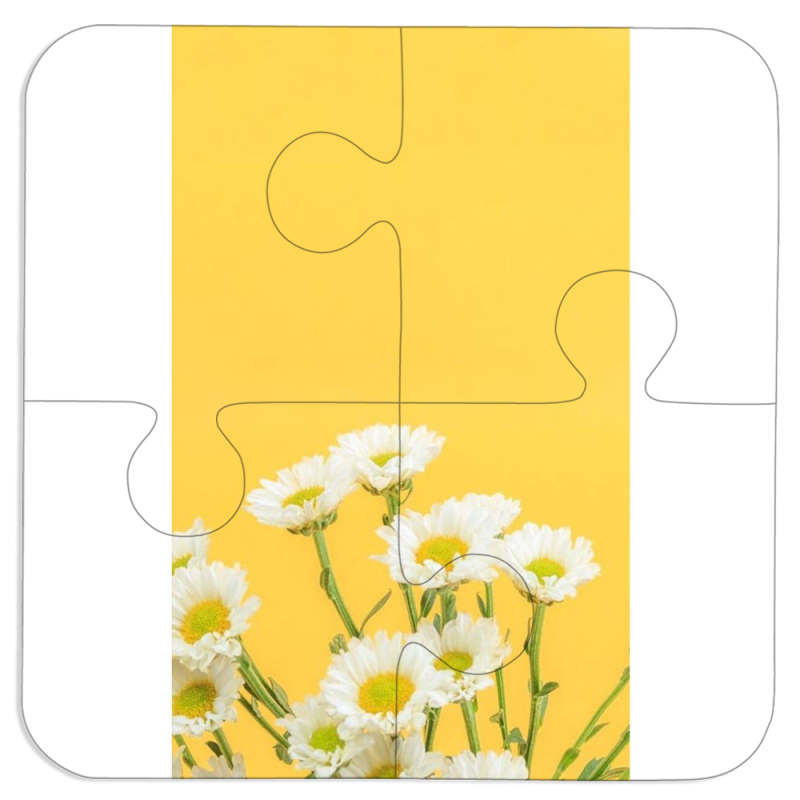 Магнитные фотопазлы 100 на 100 