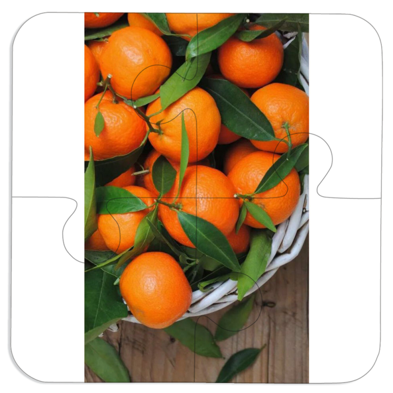 Магнитные фотопазлы 100 на 100 