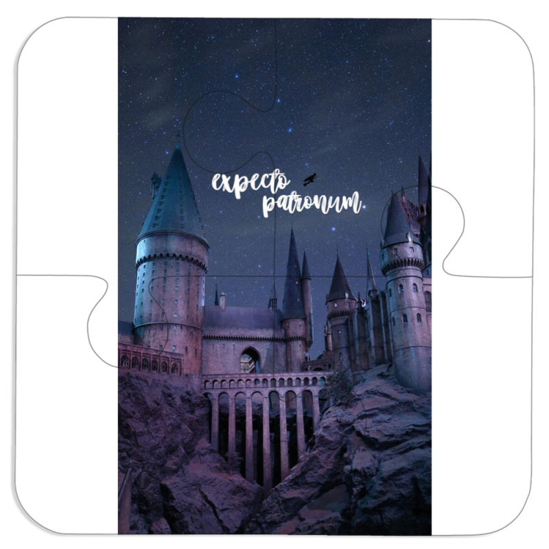 Магнитные фотопазлы 100 на 100 