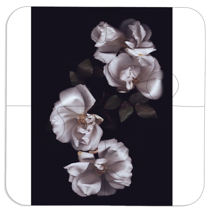 Магнитные фотопазлы 100 на 100 