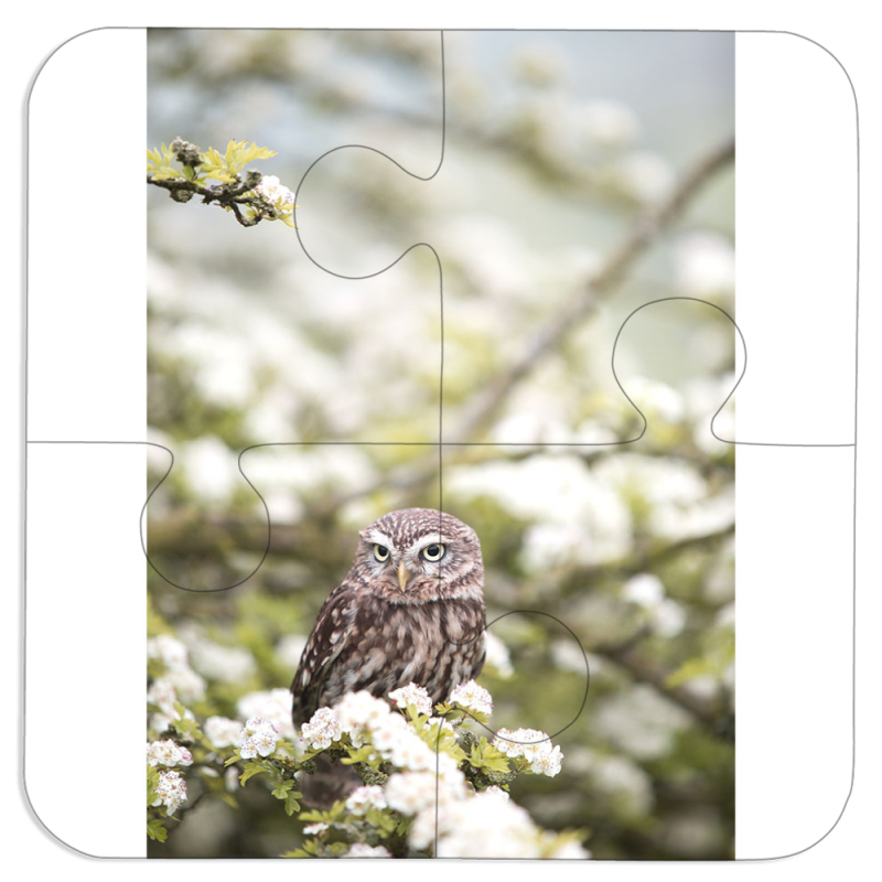 Магнитные фотопазлы 100 на 100 