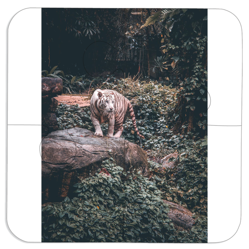 Магнитные фотопазлы 100 на 100 