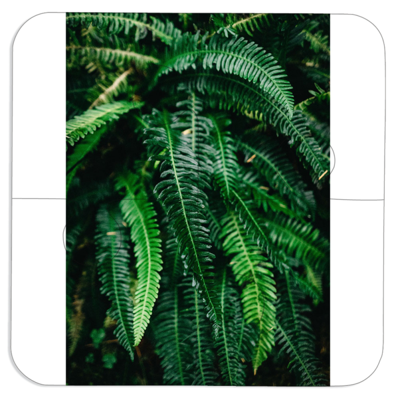 Магнитные фотопазлы 100 на 100 