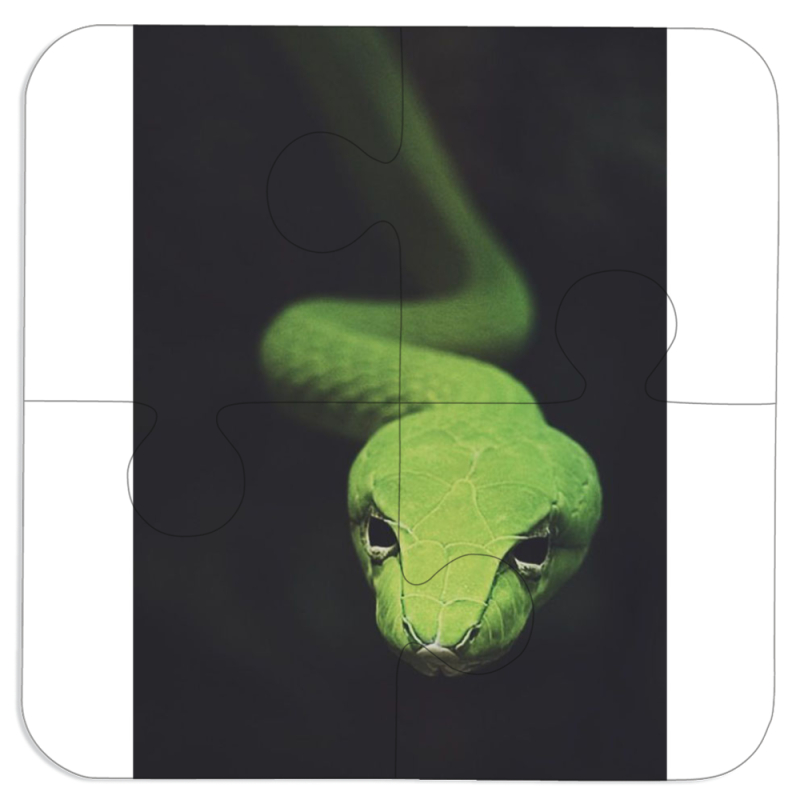 Магнитные фотопазлы 100 на 100 