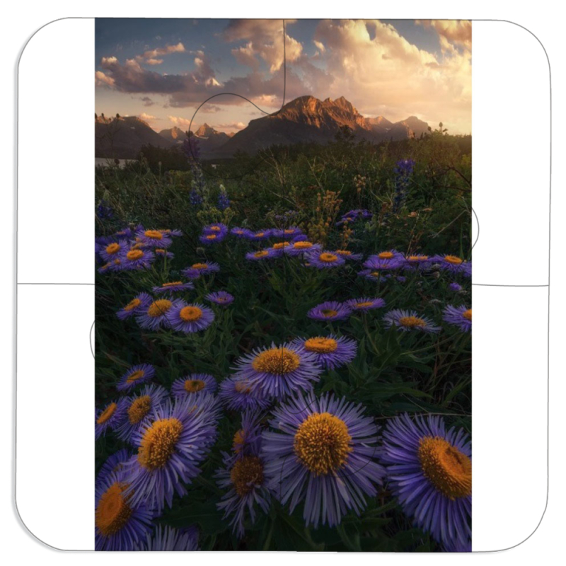 Магнитные фотопазлы 100 на 100 