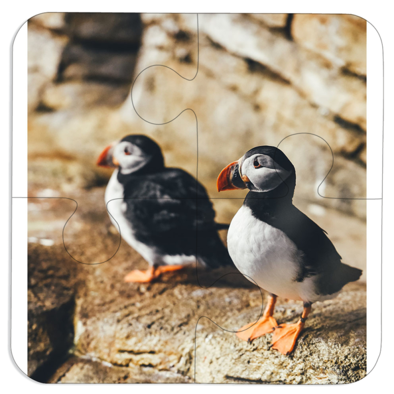 Магнитные фотопазлы 100 на 100 