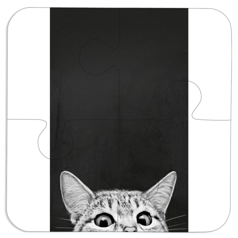 Магнитные фотопазлы 100 на 100 