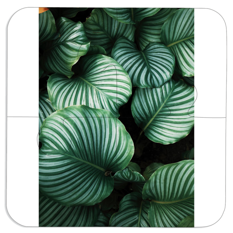 Магнитные фотопазлы 100 на 100 