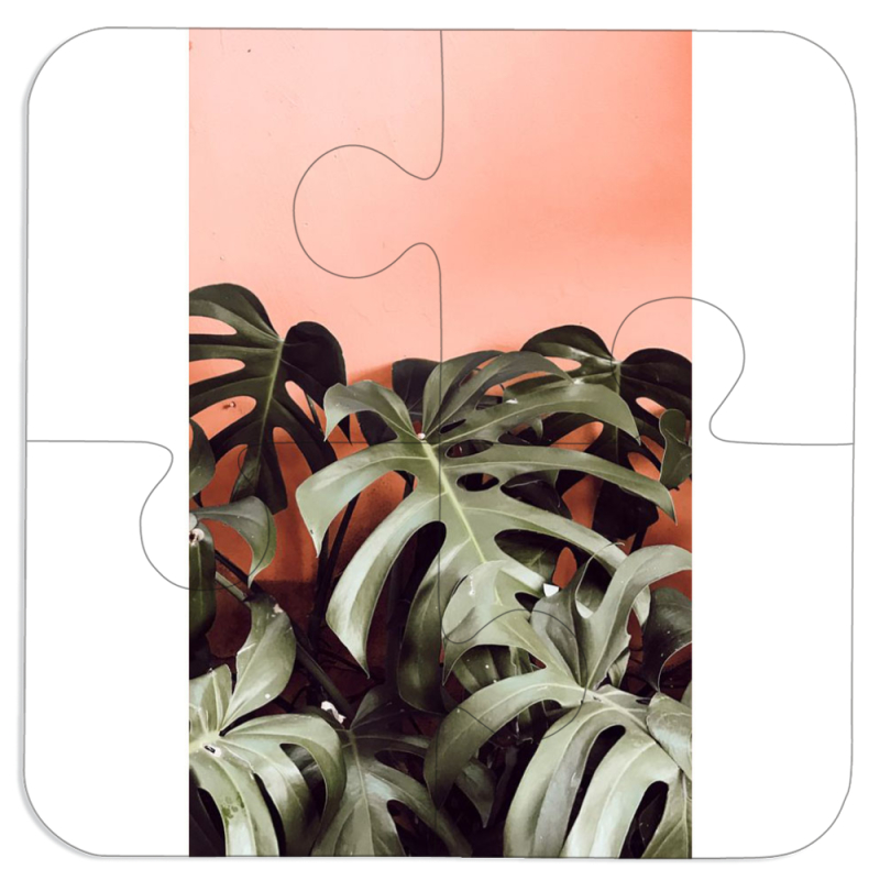 Магнитные фотопазлы 100 на 100 