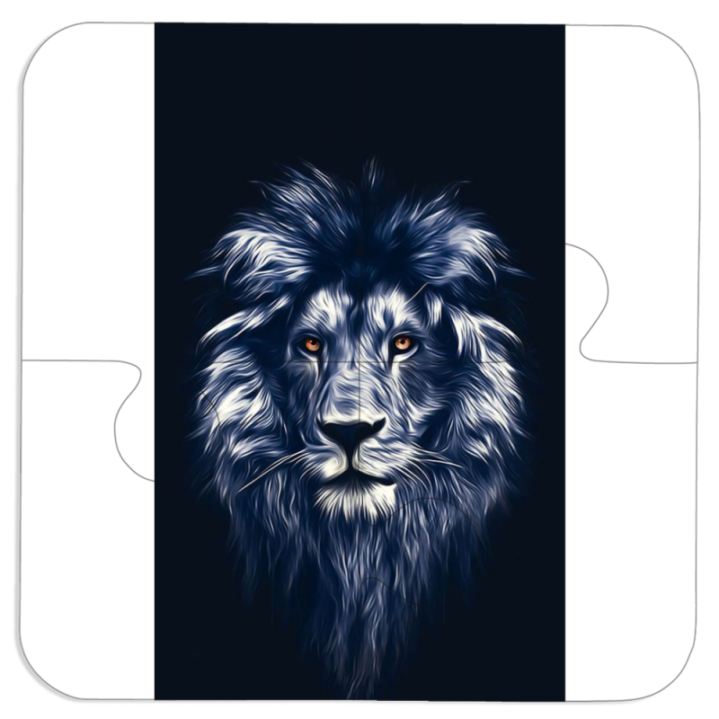 Магнитные фотопазлы 100 на 100 