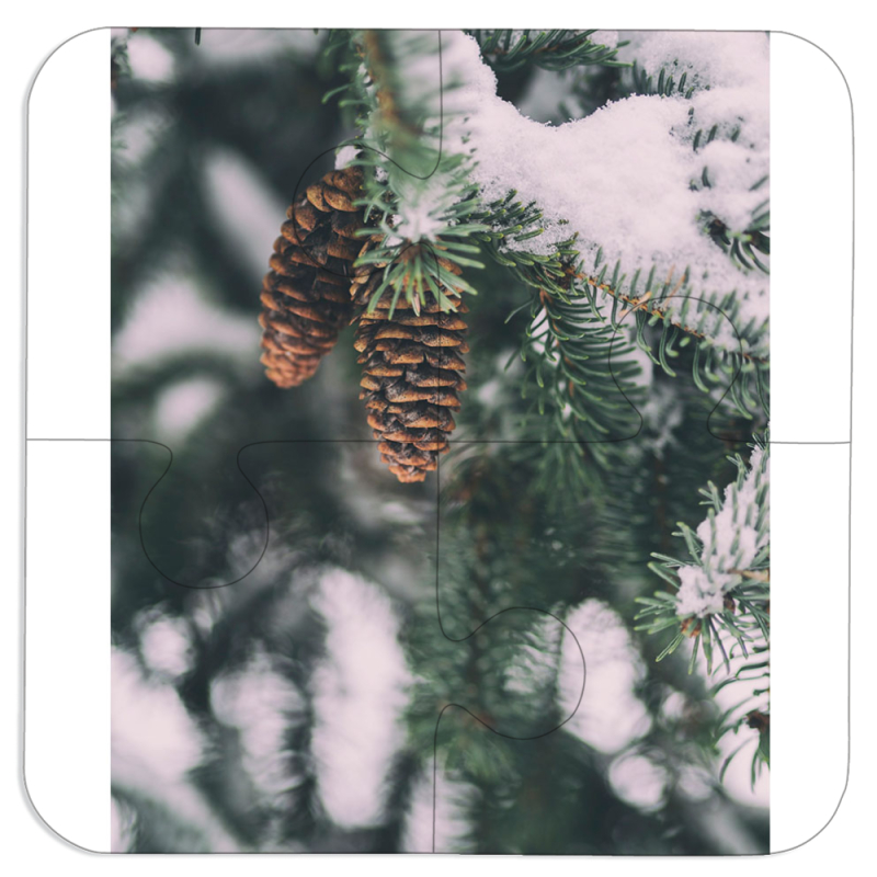 Магнитные фотопазлы 100 на 100 