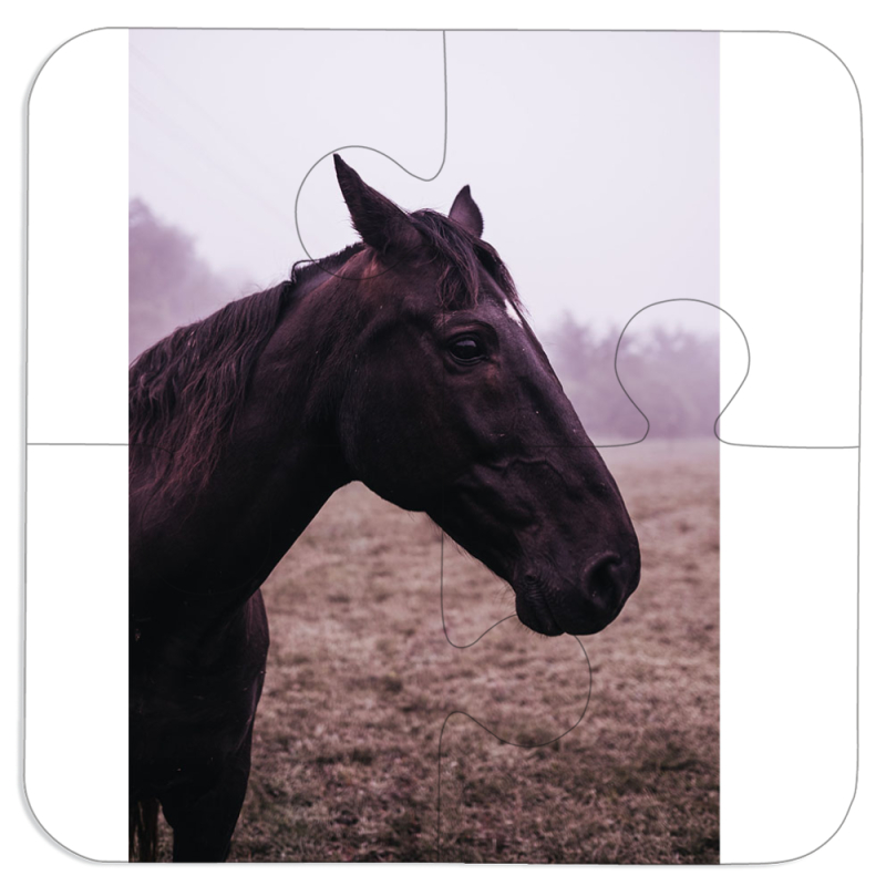 Магнитные фотопазлы 100 на 100 