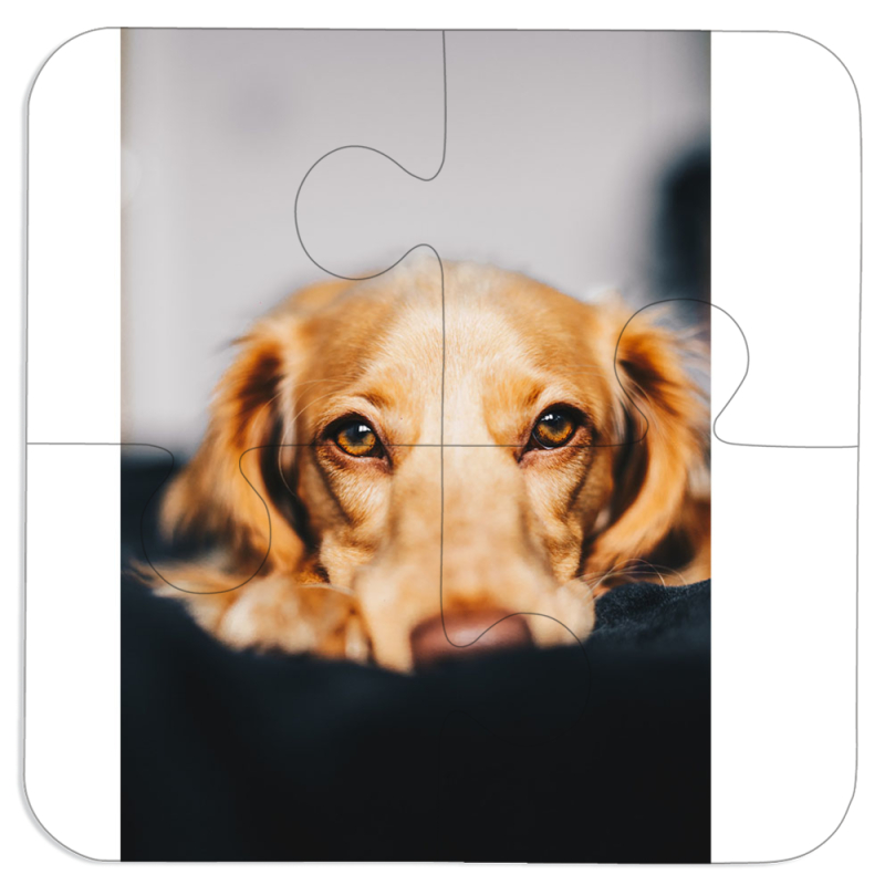 Магнитные фотопазлы 100 на 100 