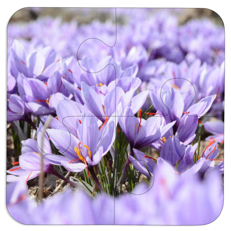 Магнитные фотопазлы 100 на 100 