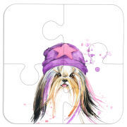 Магнитные фотопазлы 100 на 100 