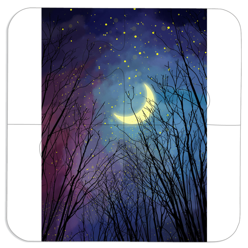 Магнитные фотопазлы 100 на 100 