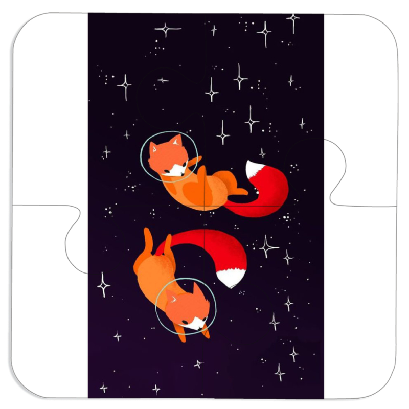 Магнитные фотопазлы 100 на 100 Fox-Astronauts