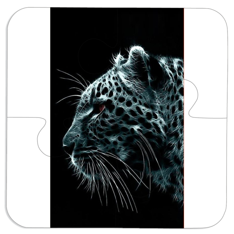 Магнитные фотопазлы 100 на 100 Leopard