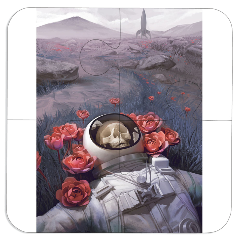 Магнитные фотопазлы 100 на 100 