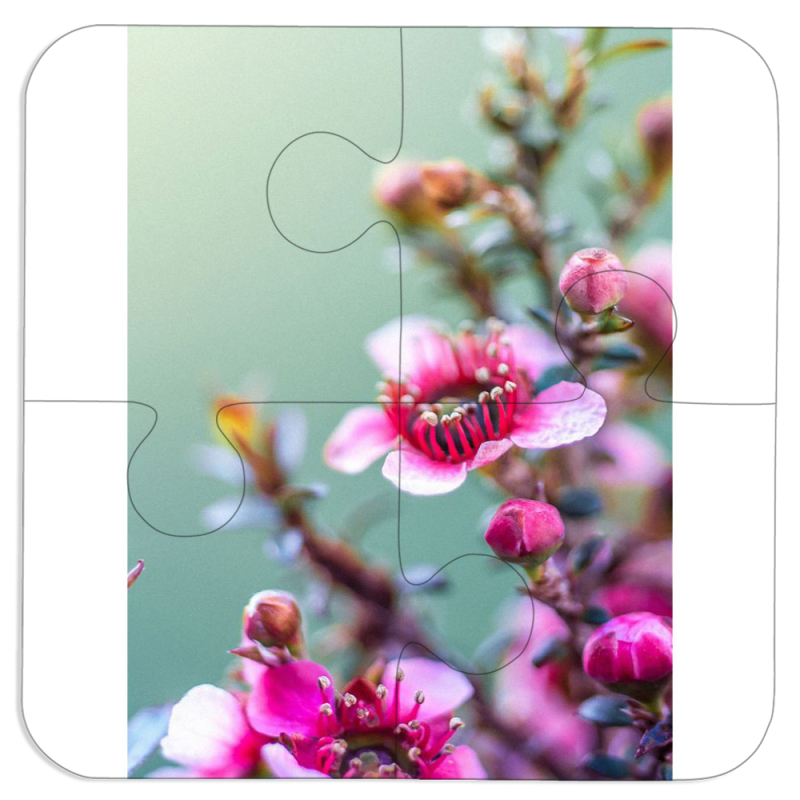 Магнитные фотопазлы 100 на 100 