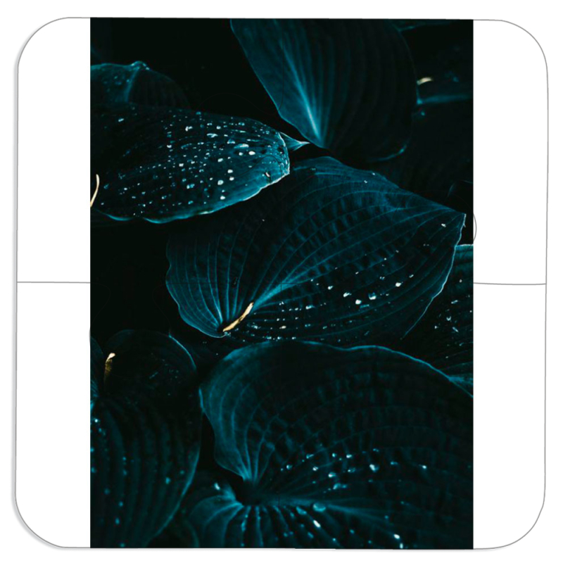 Магнитные фотопазлы 100 на 100 