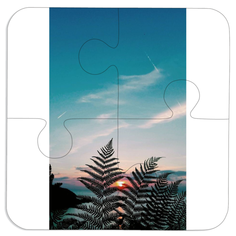 Магнитные фотопазлы 100 на 100 