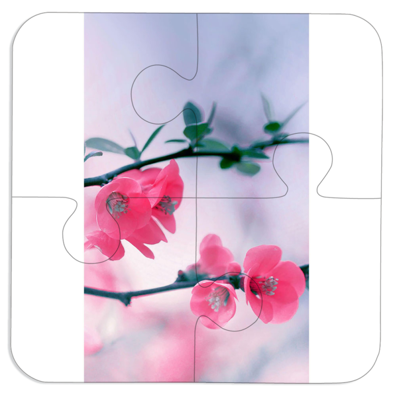 Магнитные фотопазлы 100 на 100 