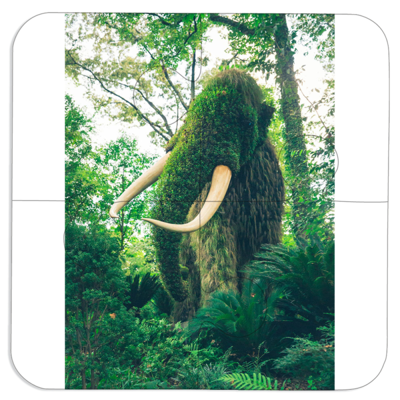 Магнитные фотопазлы 100 на 100 