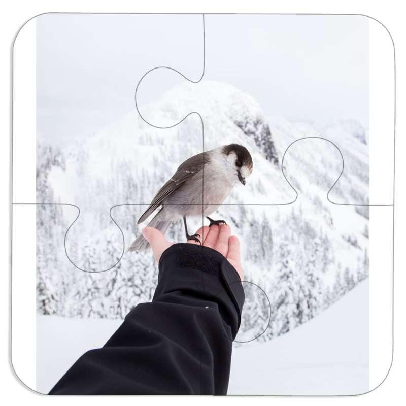 Магнитные фотопазлы 100 на 100 