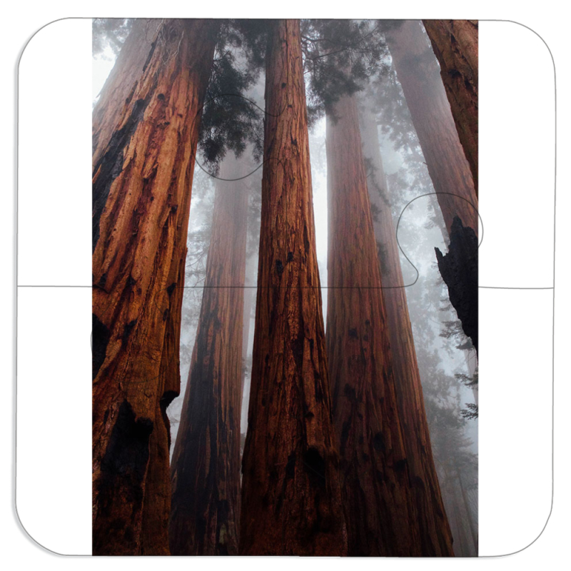 Магнитные фотопазлы 100 на 100 