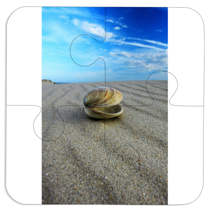 Магнитные фотопазлы 100 на 100 