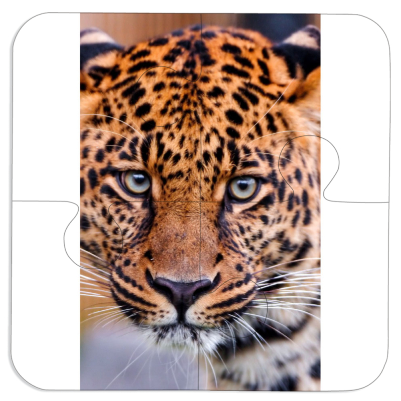 Магнитные фотопазлы 100 на 100 