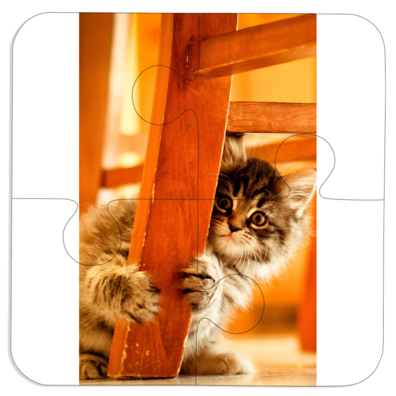 Магнитные фотопазлы 100 на 100 