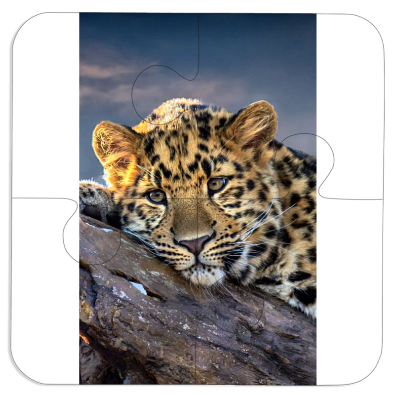 Магнитные фотопазлы 100 на 100 