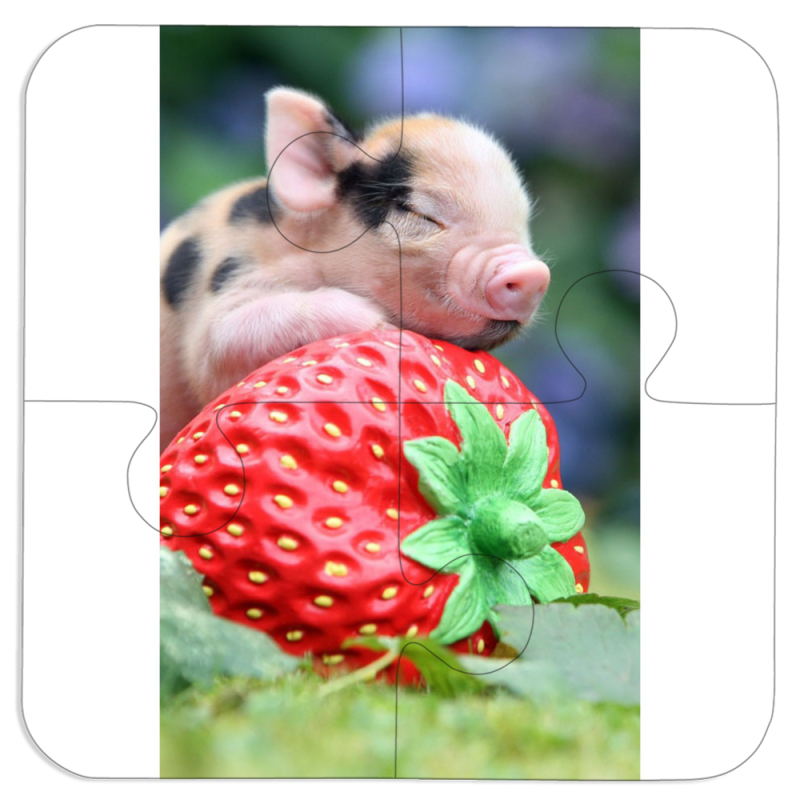 Магнитные фотопазлы 100 на 100 