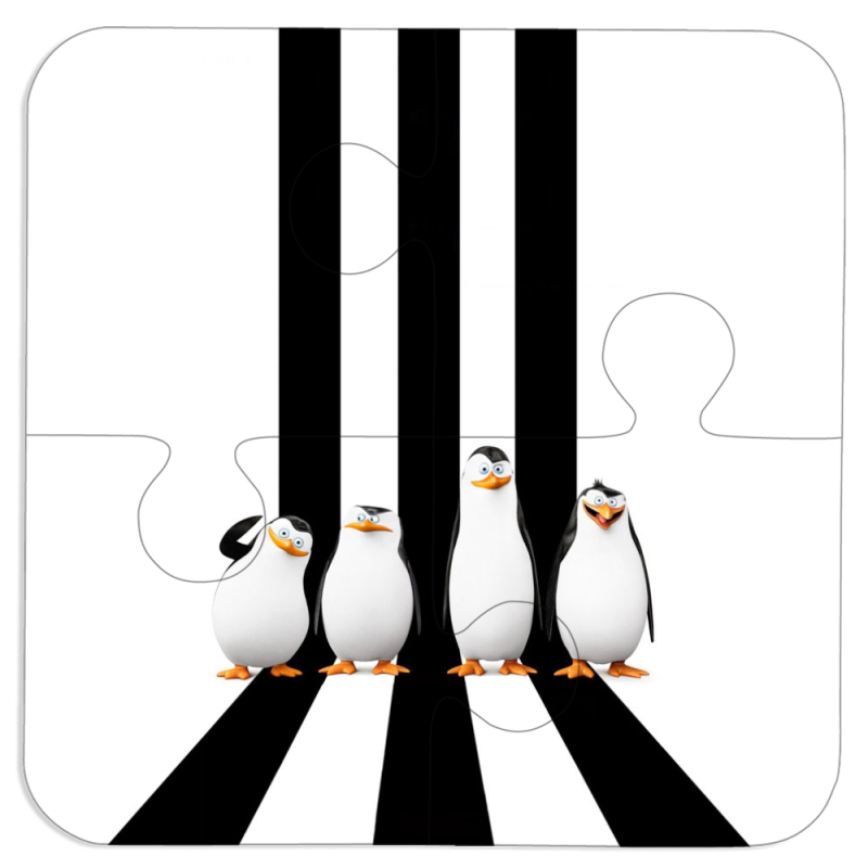 Магнитные фотопазлы 100 на 100 