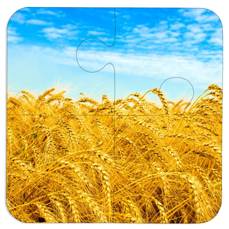 Магнитные фотопазлы 100 на 100 